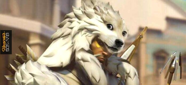 Doge