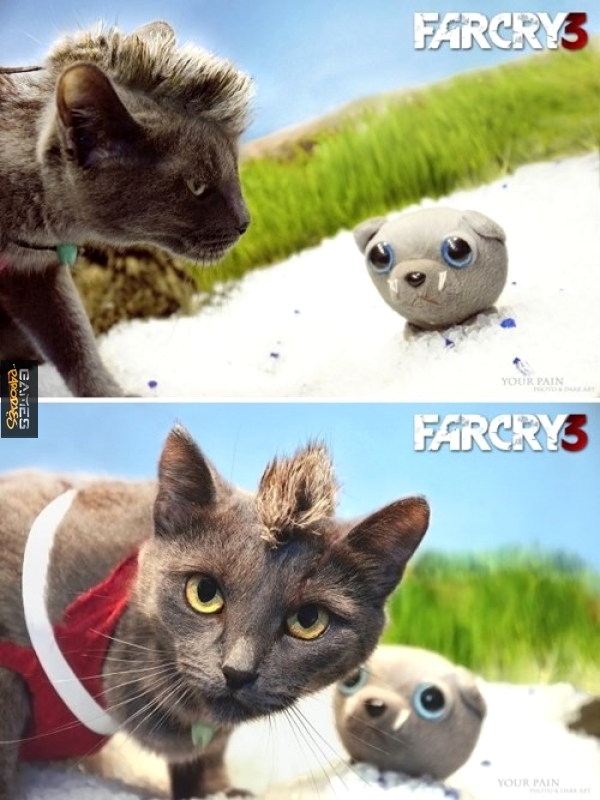 Vaas
