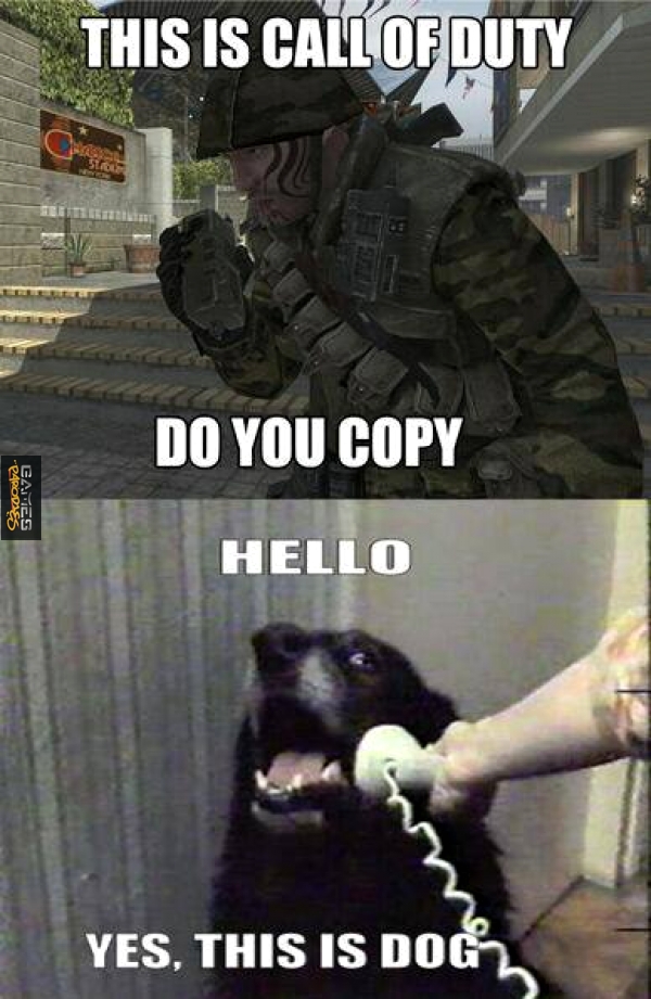 Call of doggie