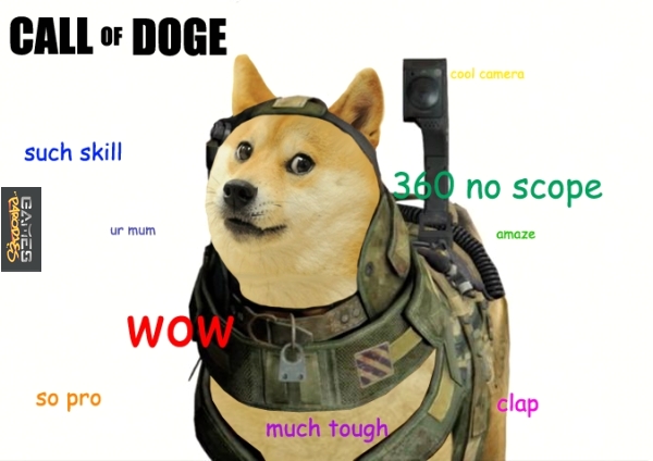 Call of doge: ghosts