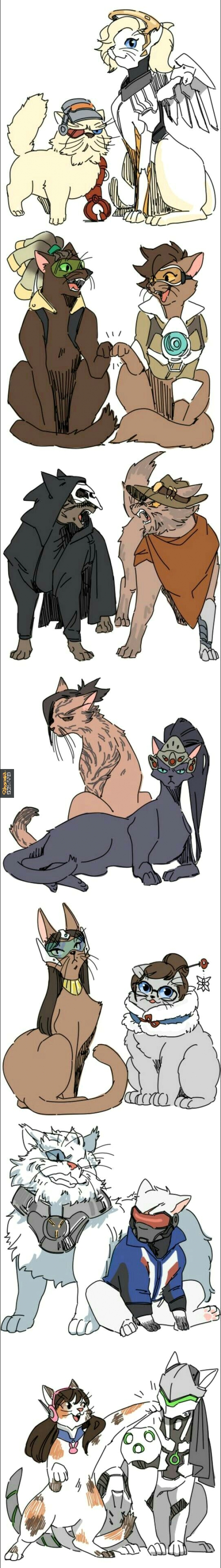 Catwatch