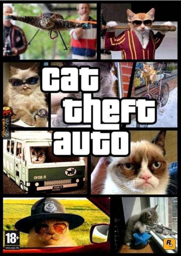 Cat theft auto
