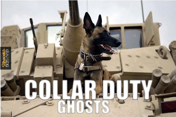 Collar duty: Ghosts