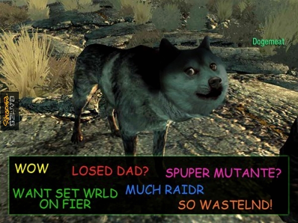 Dogemeat