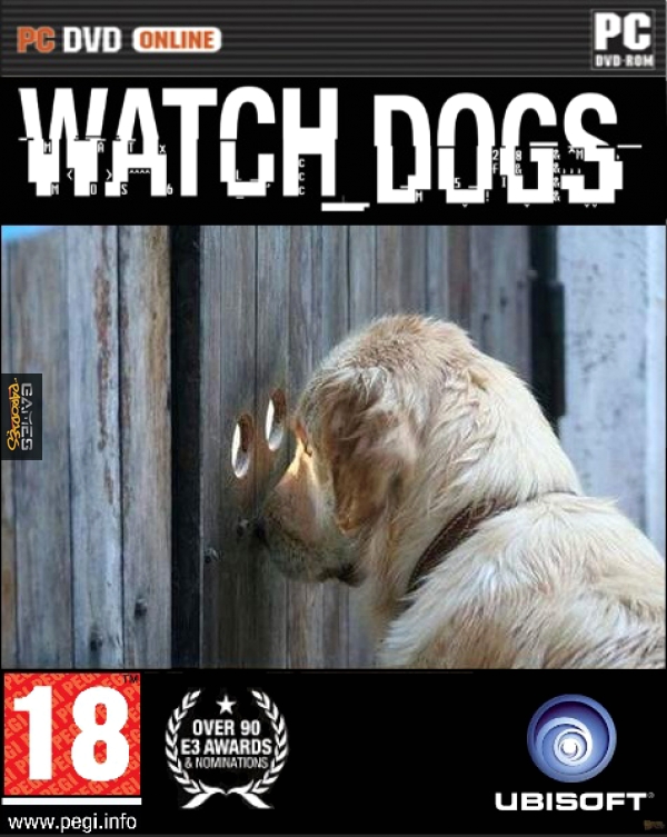Dog is watching