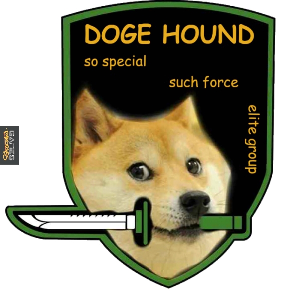 Doge hound