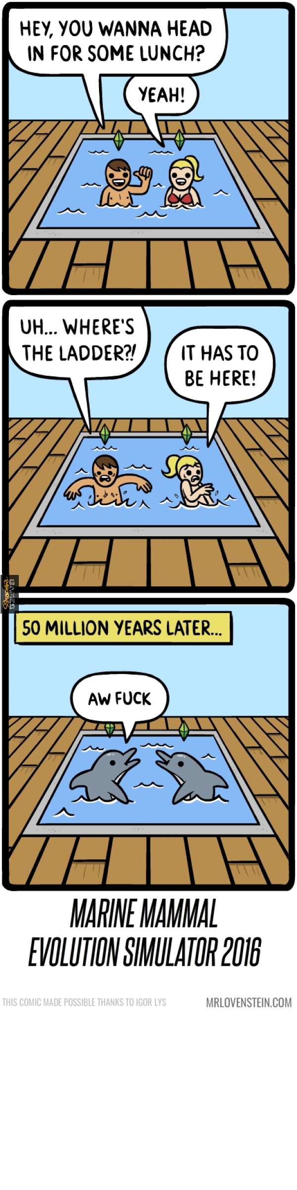 Evolution