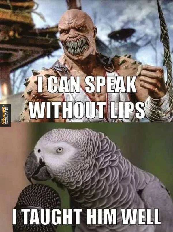 Famous parrot