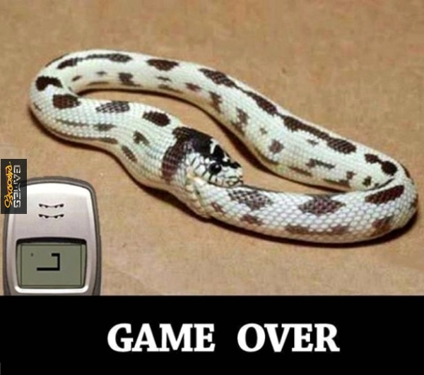 Game over