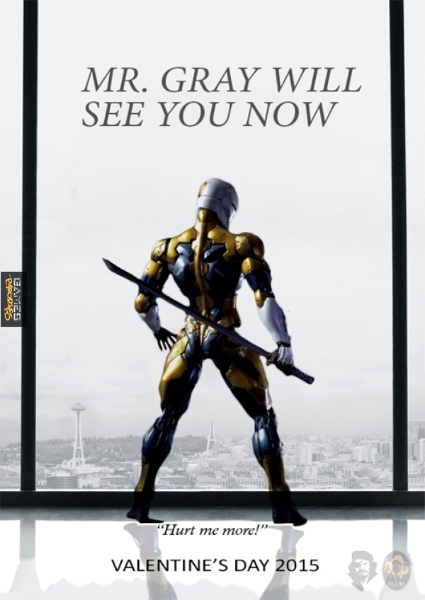 Gray Fox