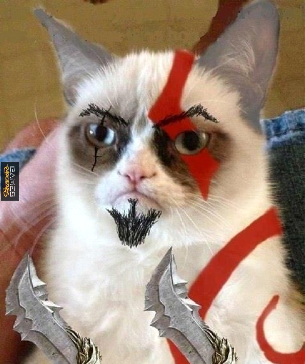Grumpy Catos
