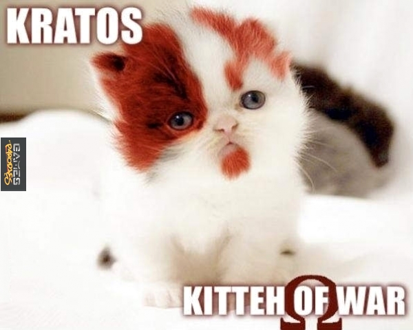 Kratos: Kitteh of war
