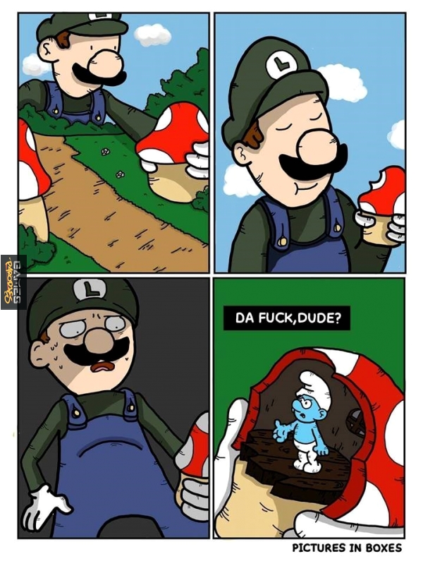 Luigi you idiot