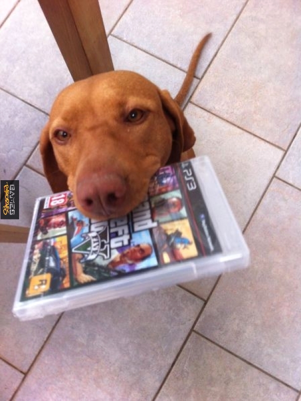 Mans best friend