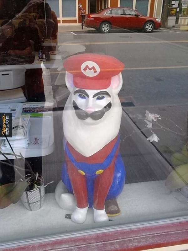 Mario cat