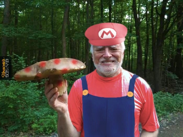 Mario Harold