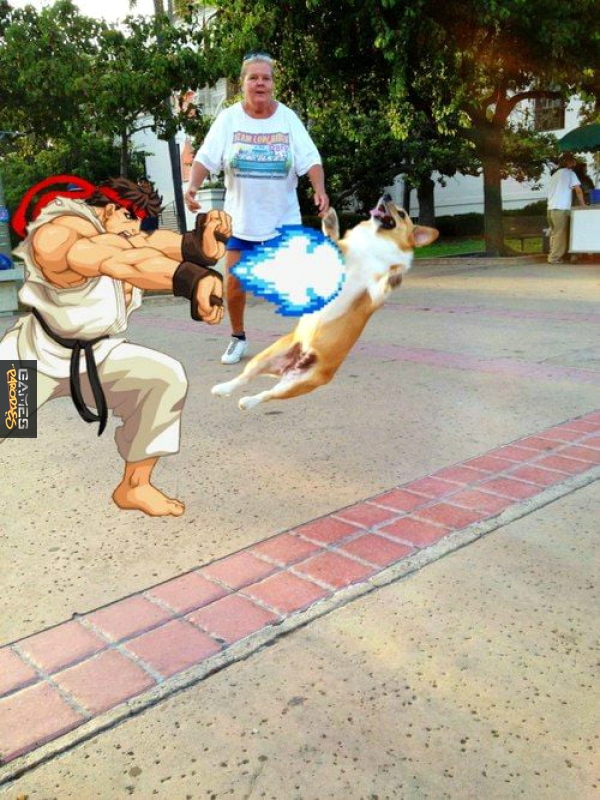 Poor doggie
