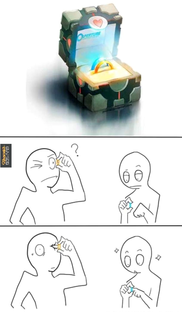 Portal wedding rings