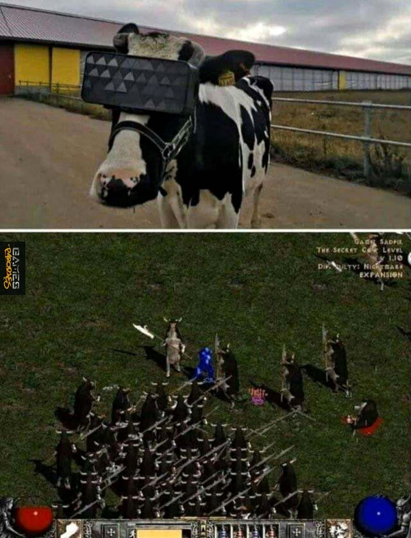 Secret cow level