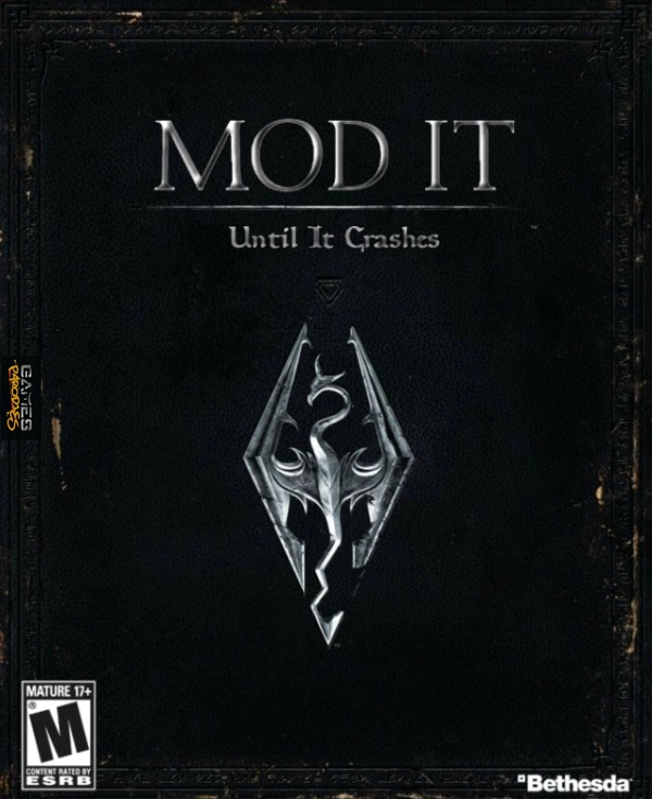 Skyrim in a nutshell