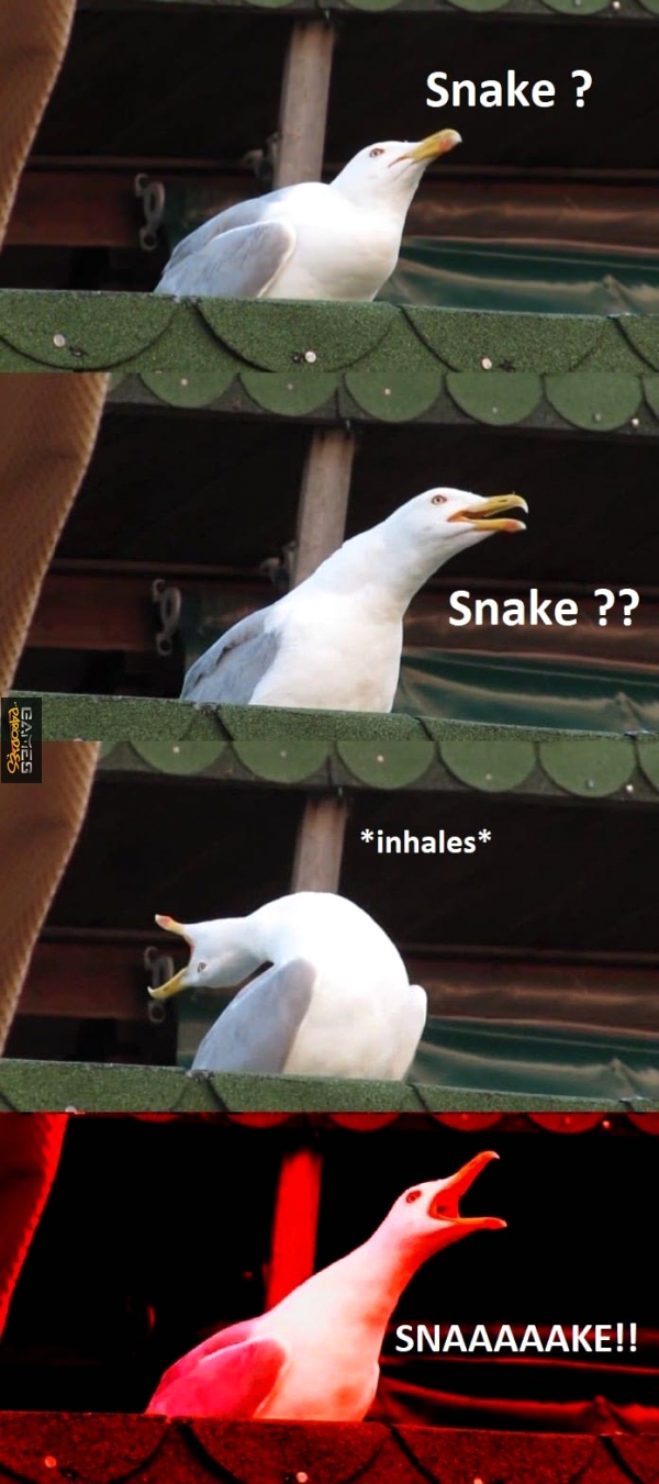 Snaaaake!