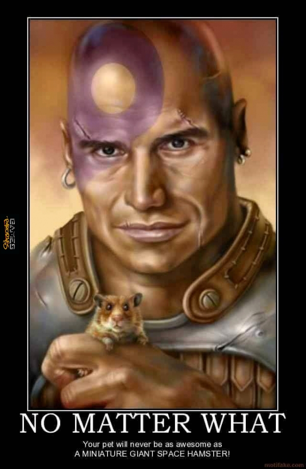 The best hamster