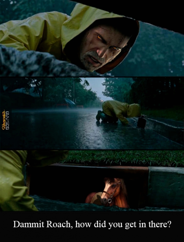 The wITcher